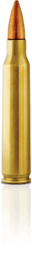 rifle shell