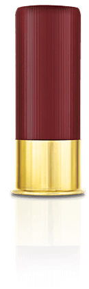 rimfire bullet