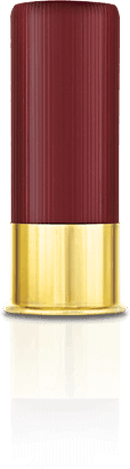 shotshell bullet